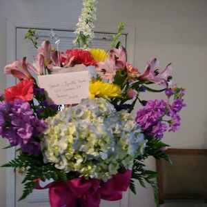 Meet your Posher, Lynette